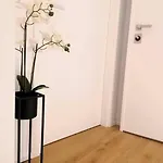 Monolocale Niki - شقة *