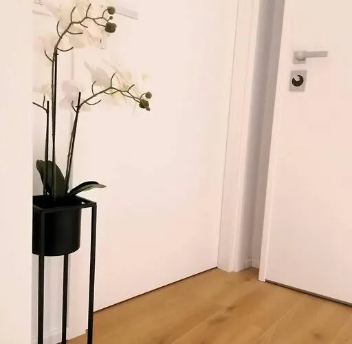 Monolocale Niki - Apartament *